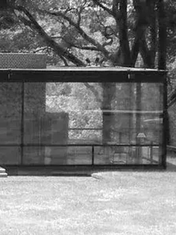 Philip Johnson Kimdir?